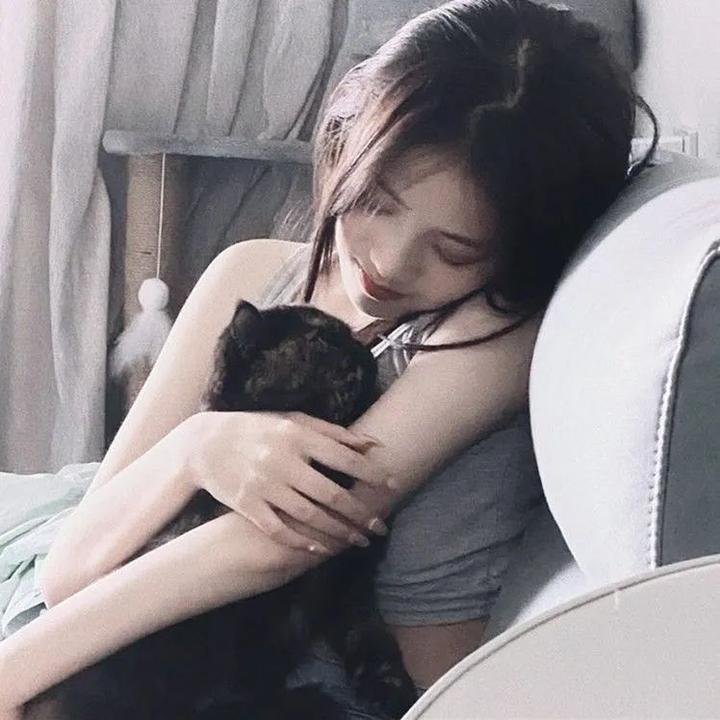 忠狗巴比传